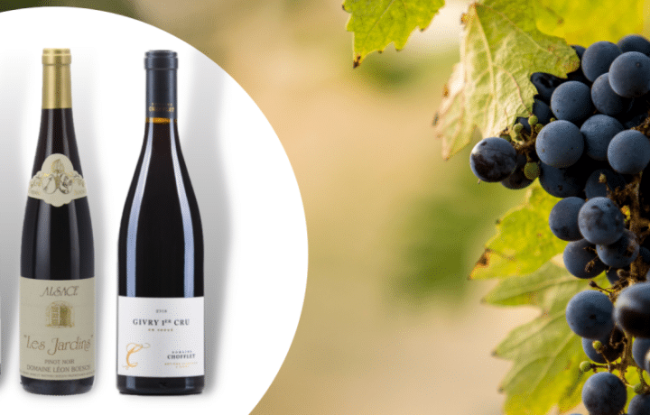 Le Pinot Noir, un vin rouge français riche et élégant