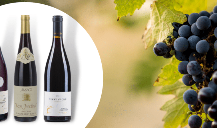 Le Pinot Noir, un vin rouge français riche et élégant