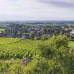 Gevrey-Chambertin, le vin rouge qui a conquis le cœur des amateurs