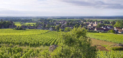 Gevrey-Chambertin, le vin rouge qui a conquis le cœur des amateurs