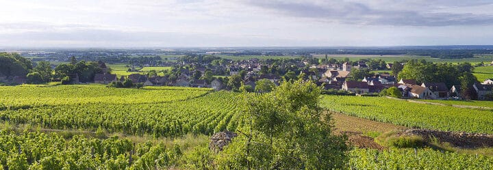 Gevrey-Chambertin, le vin rouge qui a conquis le cœur des amateurs