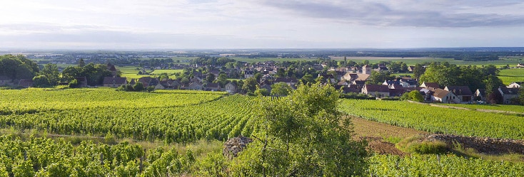 Gevrey-Chambertin, le vin rouge qui a conquis le cœur des amateurs