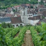 L’Irancy, un incontournable vin rouge du Val de Loire