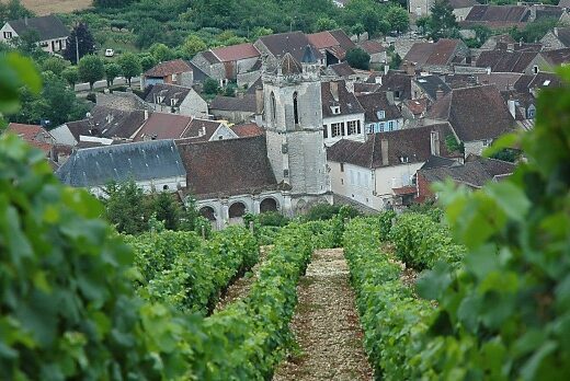 L’Irancy, un incontournable vin rouge du Val de Loire