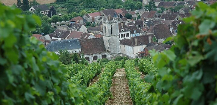 L’Irancy, un incontournable vin rouge du Val de Loire