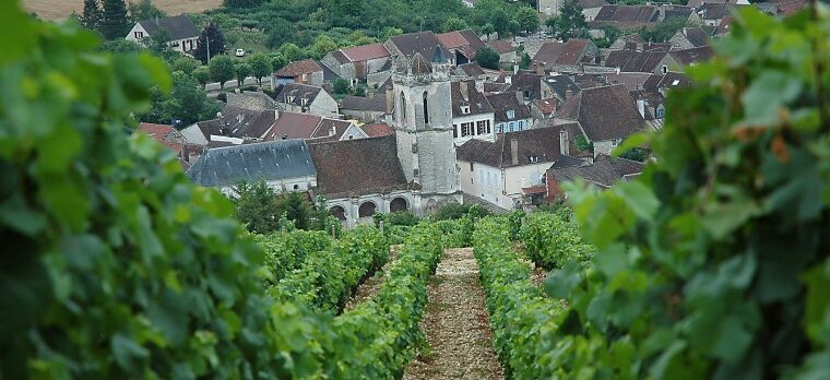 L’Irancy, un incontournable vin rouge du Val de Loire
