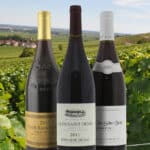 L’Appellation Clos Saint-Denis : Les secrets du Vin