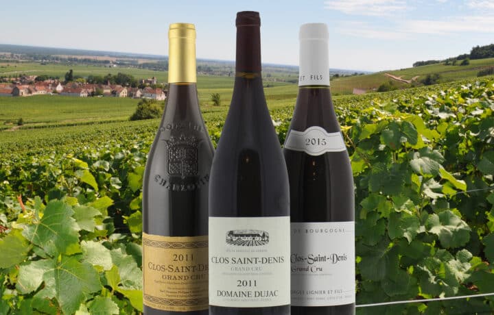 L’Appellation Clos Saint-Denis : Les secrets du Vin