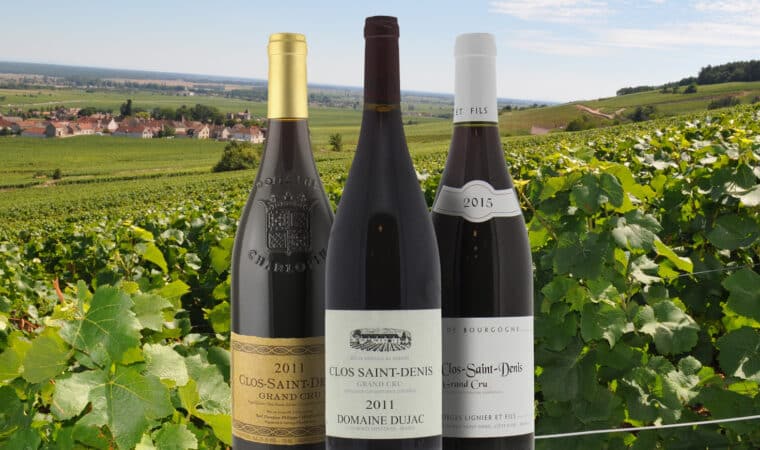 L’Appellation Clos Saint-Denis : Les secrets du Vin