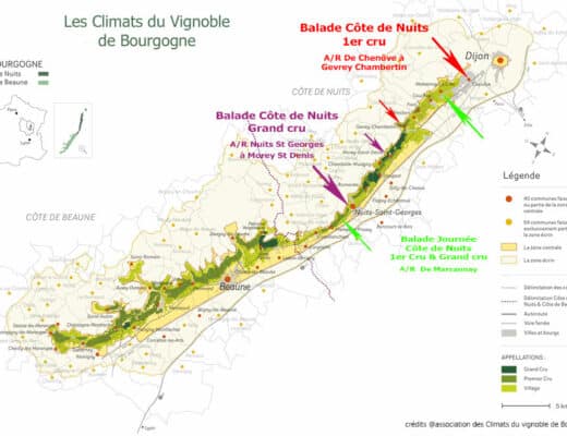 Les vins de Bourgogne, un patrimoine historique et œnologique