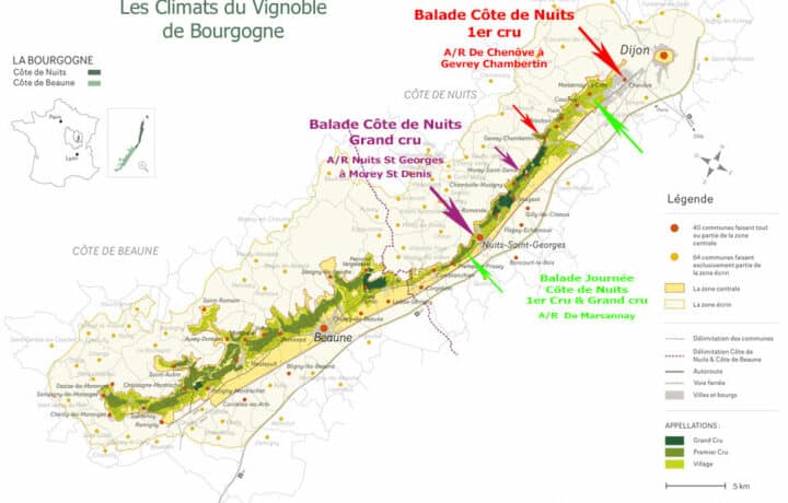 Les vins de Bourgogne, un patrimoine historique et œnologique