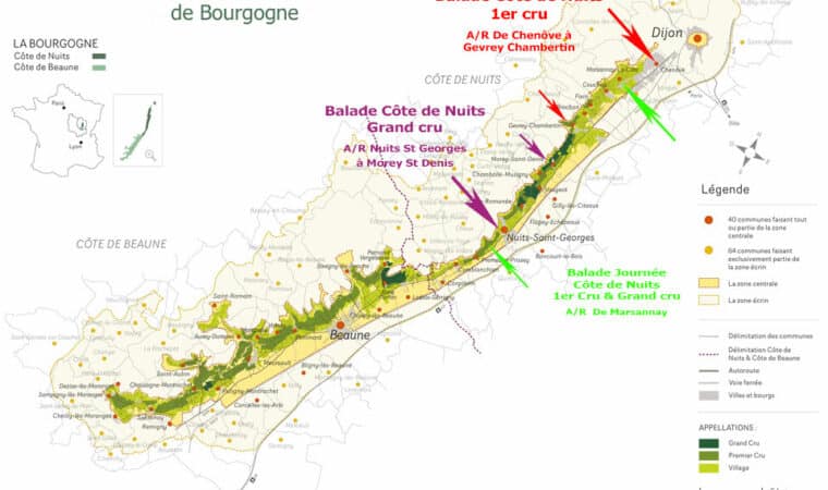 Les vins de Bourgogne, un patrimoine historique et œnologique