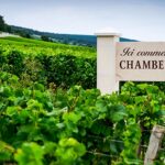 Appellation Chambertin-Clos de Bèze, le grand cru bourguignon par excellence