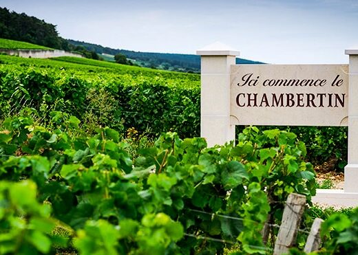 Appellation Chambertin-Clos de Bèze, le grand cru bourguignon par excellence