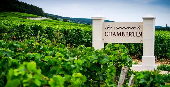 Appellation Chambertin-Clos de Bèze, le grand cru bourguignon par excellence