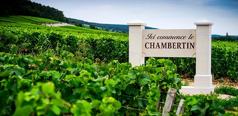 Appellation Chambertin-Clos de Bèze, le grand cru bourguignon par excellence