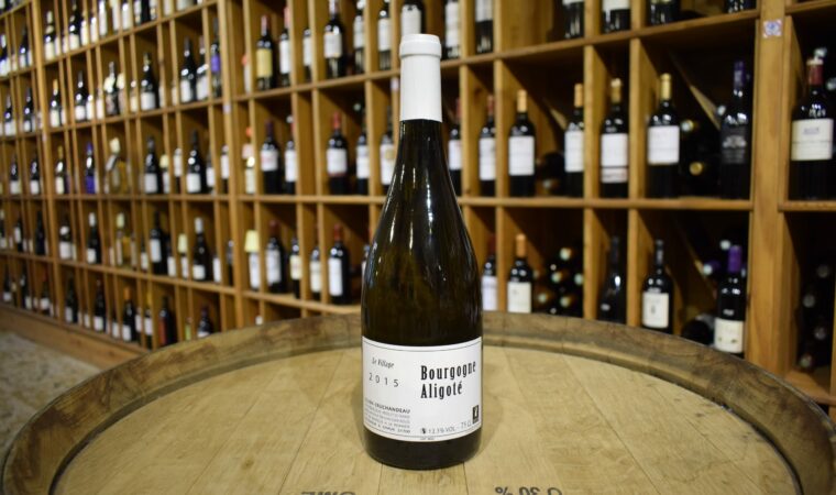 Domaine Borgeot : des vins de Bourgogne au caractère unique