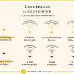 Tous les cépages de la Bourgogne viticole