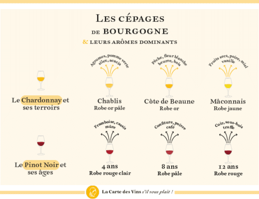 Tous les cépages de la Bourgogne viticole
