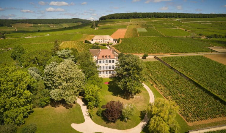 Domaine Louis Latour, un domaine viticole bourguignon de grande renommée