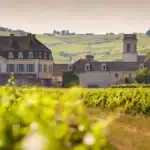 Pommard, un vin unique en Bourgogne