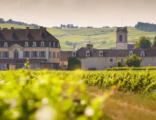 Pommard, un vin unique en Bourgogne