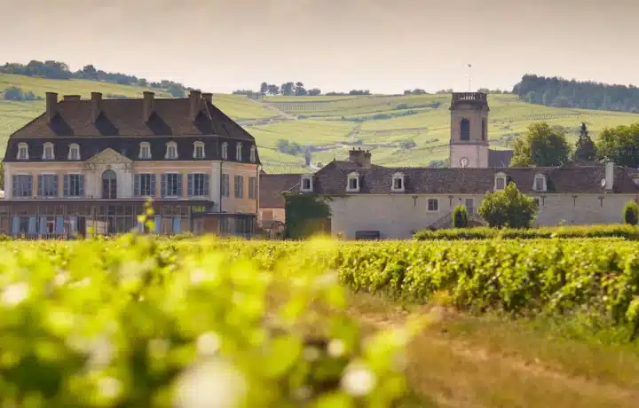 Pommard, un vin unique en Bourgogne