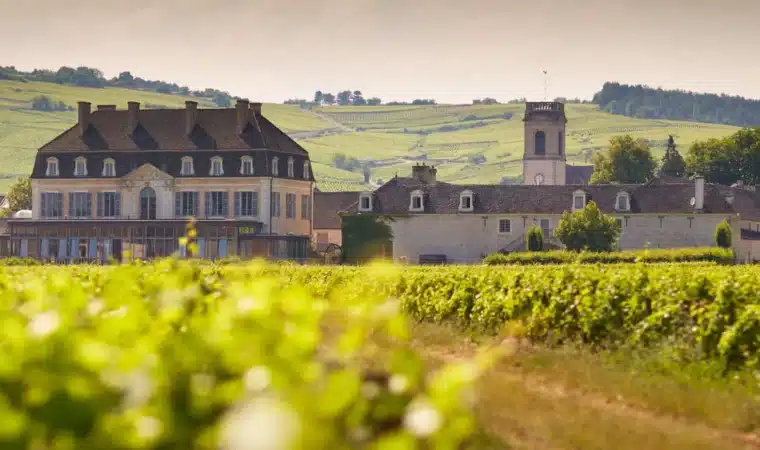 Pommard, un vin unique en Bourgogne