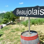 Une route des vins incontournable dans la Bourgogne