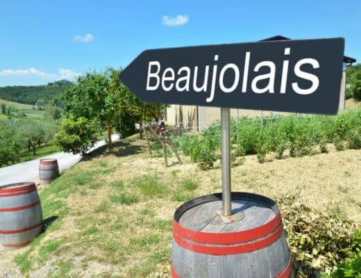 Une route des vins incontournable dans la Bourgogne