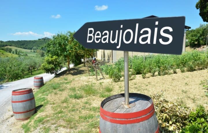 Une route des vins incontournable dans la Bourgogne