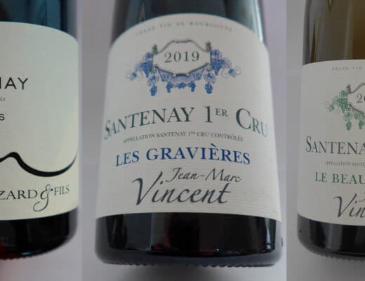 Le vin de Santenay, un incontournable de Bourgogne