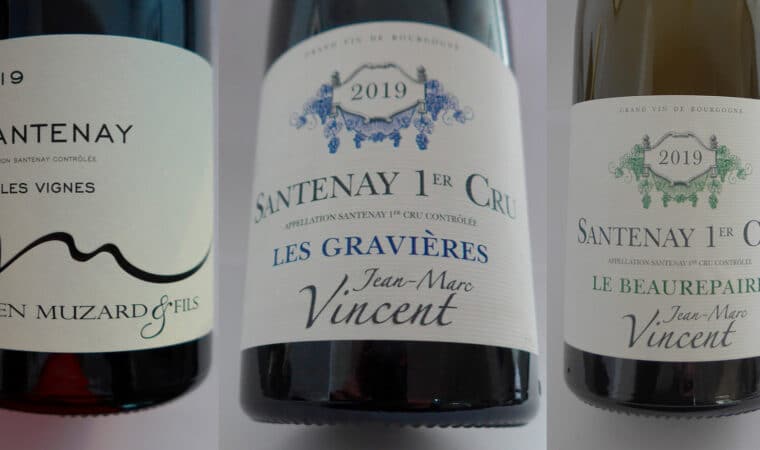 Le vin de Santenay, un incontournable de Bourgogne