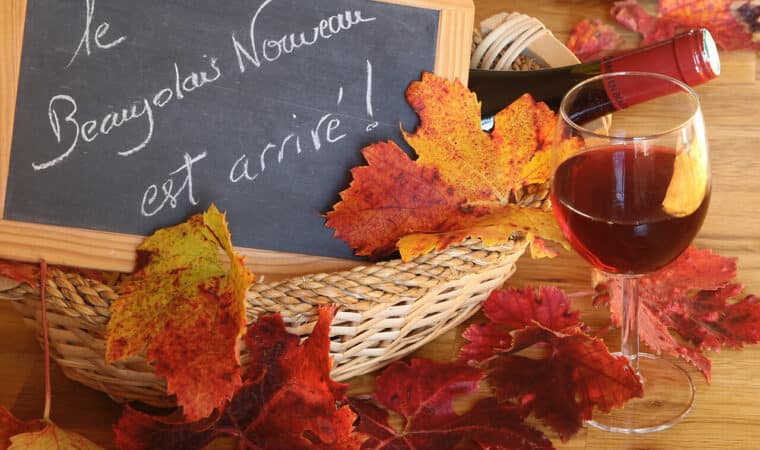 Le Beaujolais Nouveau : une tradition chaque année