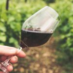 À quelle température servir un vin de Bourgogne ?