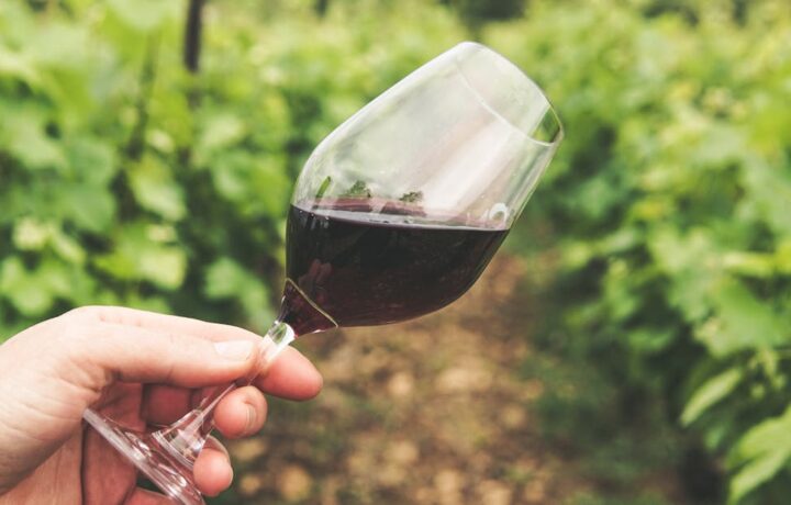 À quelle température servir un vin de Bourgogne ?