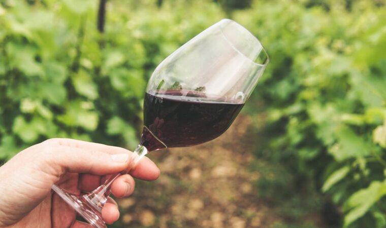 À quelle température servir un vin de Bourgogne ?