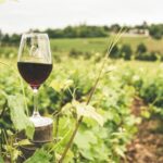 Quels vins de Bourgogne pour l&rsquo;apéritif d&rsquo;été ?
