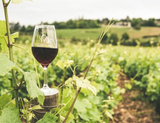 Quels vins de Bourgogne pour l&rsquo;apéritif d&rsquo;été ?