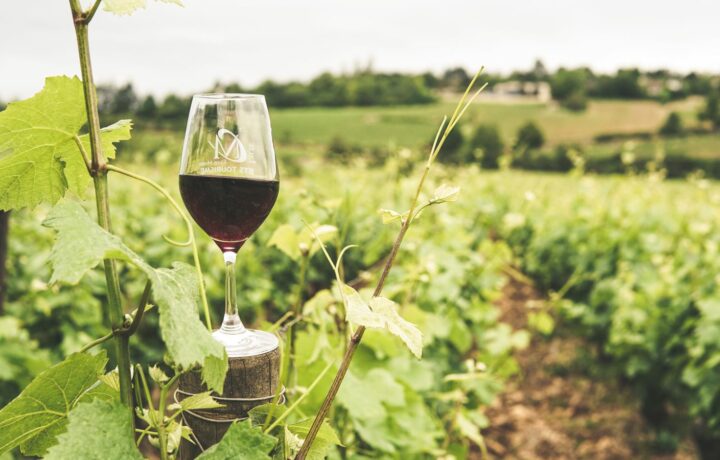 Quels vins de Bourgogne pour l’apéritif d’été ?