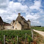 L&rsquo;oenotourisme en Bourgogne : nos idées pour une escapade viticole cet été