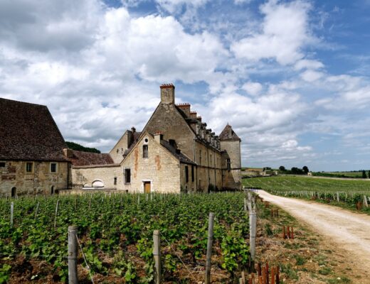 L&rsquo;oenotourisme en Bourgogne : nos idées pour une escapade viticole cet été