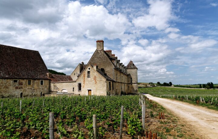 L’oenotourisme en Bourgogne : nos idées pour une escapade viticole cet été