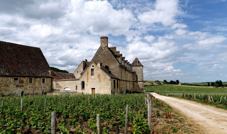 L&rsquo;oenotourisme en Bourgogne : nos idées pour une escapade viticole cet été