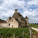 La route des Grands Crus de Bourgogne : 60 km au coeur du vignoble mythique