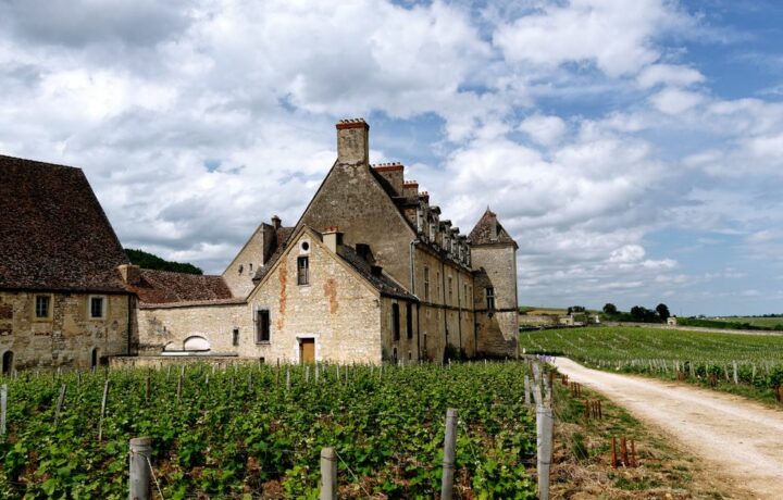 La route des Grands Crus de Bourgogne : 60 km au coeur du vignoble mythique