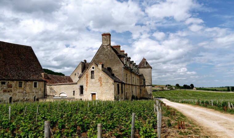 La route des Grands Crus de Bourgogne : 60 km au coeur du vignoble mythique