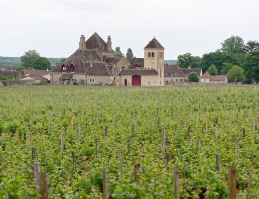 Volnay : le vin rouge de Bourgogne qui séduit par sa finesse