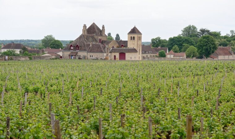 Vosne-Romanée : le village qui abrite les vins les plus rares de Bourgogne