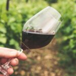 Quel vin de Bourgogne avec le gibier ? Nos accords pour l&rsquo;automne